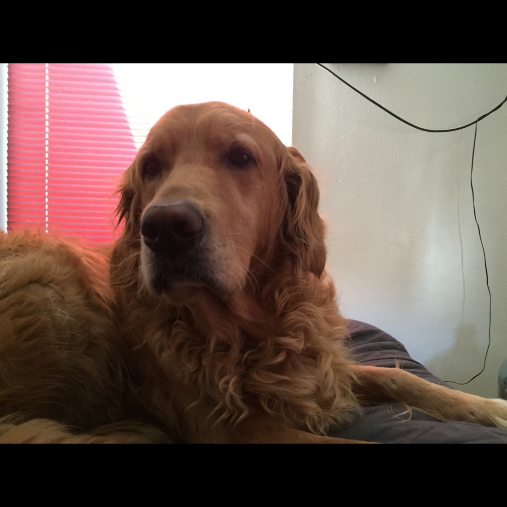 Meet your Posher, Mike